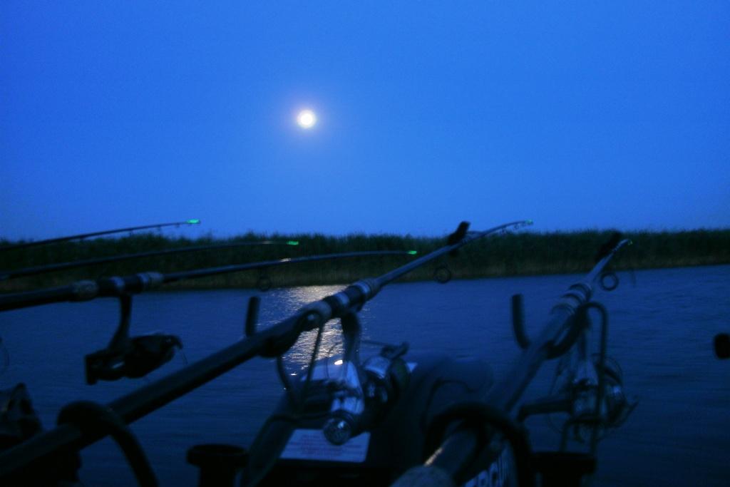 Luna plina - gedc0334.JPG